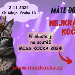 Miss kočka již v listopadu