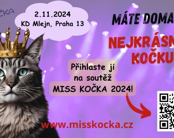 miss_kocka2024-plakat