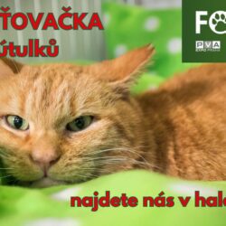 Chystáme se na FOR PETS 2025