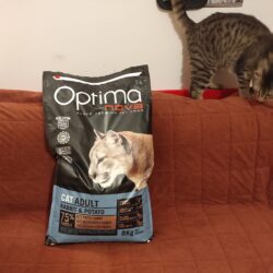 Děkujeme za granule