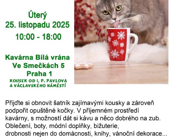 blesak_plakat2025