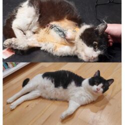 Výroční zpráva za rok 2024