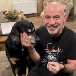 Tváří sbírky Den zvířat je Hubert od Honzy Musila