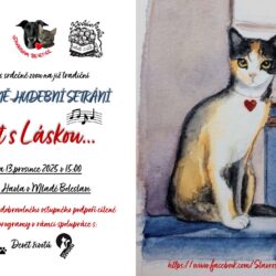 Vánoční benefice a charitativní blešák