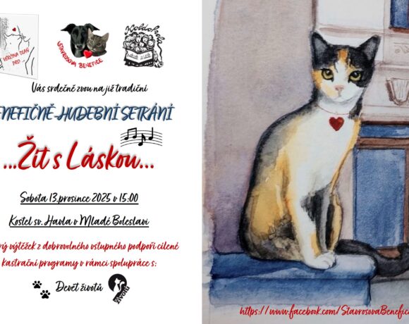 Stavrosova_benefice_vanoce2025