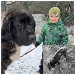 Sbírka Den zvířat překročila hranici 3 milionů!