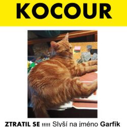 GARFIK