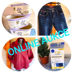 Online charitativní aukce na podporu kočičího útulku Online charitativní aukce na podporu kočičího útulku