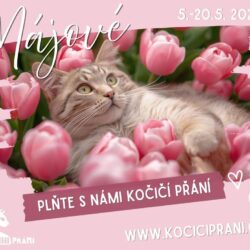 Jarní kolo charitativní sbírky Kočičí přání Jarní kolo charitativní sbírky Kočičí přání