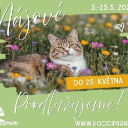 strom_prani_jaro2026_prodlouzeni