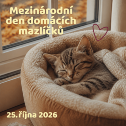 Mezinárodní den domácích mazlíčků Mezinárodní den domácích mazlíčků