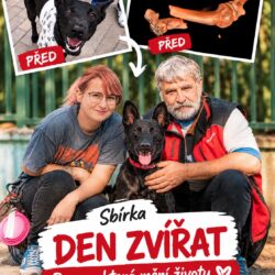 Sbírka Den zvířat – příběh fenky Sáry Sbírka Den zvířat – příběh fenky Sáry
